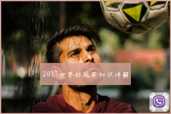2017世界杯冠军知识详解
