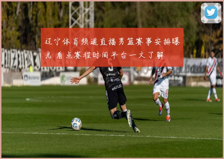 辽宁体育频道直播男篮赛事安排曝光 看点赛程时间平台一文了解