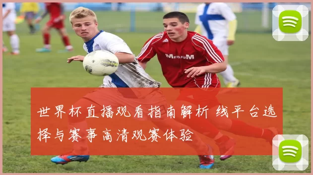 世界杯直播观看指南解析 线平台选择与赛事高清观赛体验