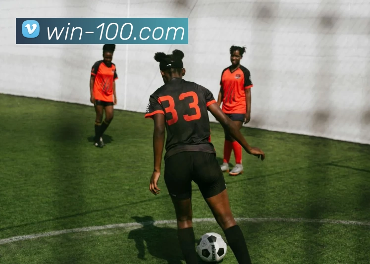 半岛官网在线登陆平台生态图